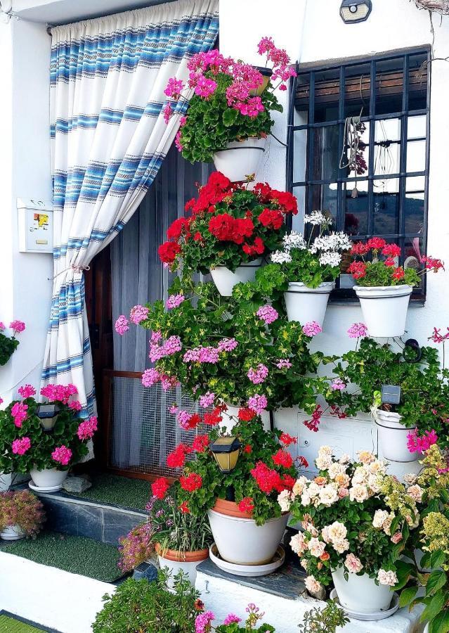 Appartamento Casa Alhambra - Centro Historico Con Jardin Privado Granada Esterno foto