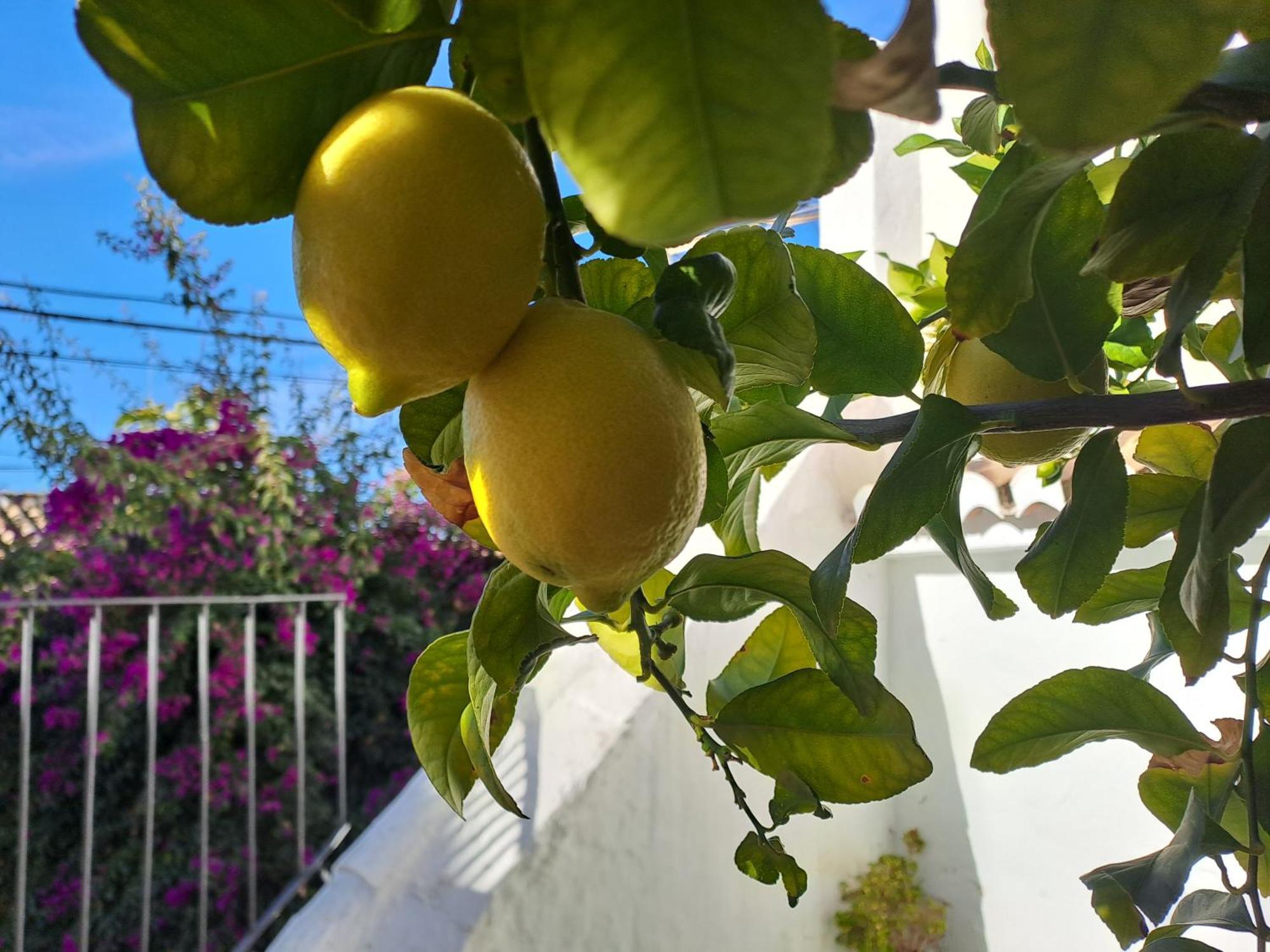 Appartamento Casa Alhambra - Centro Historico Con Jardin Privado Granada Esterno foto