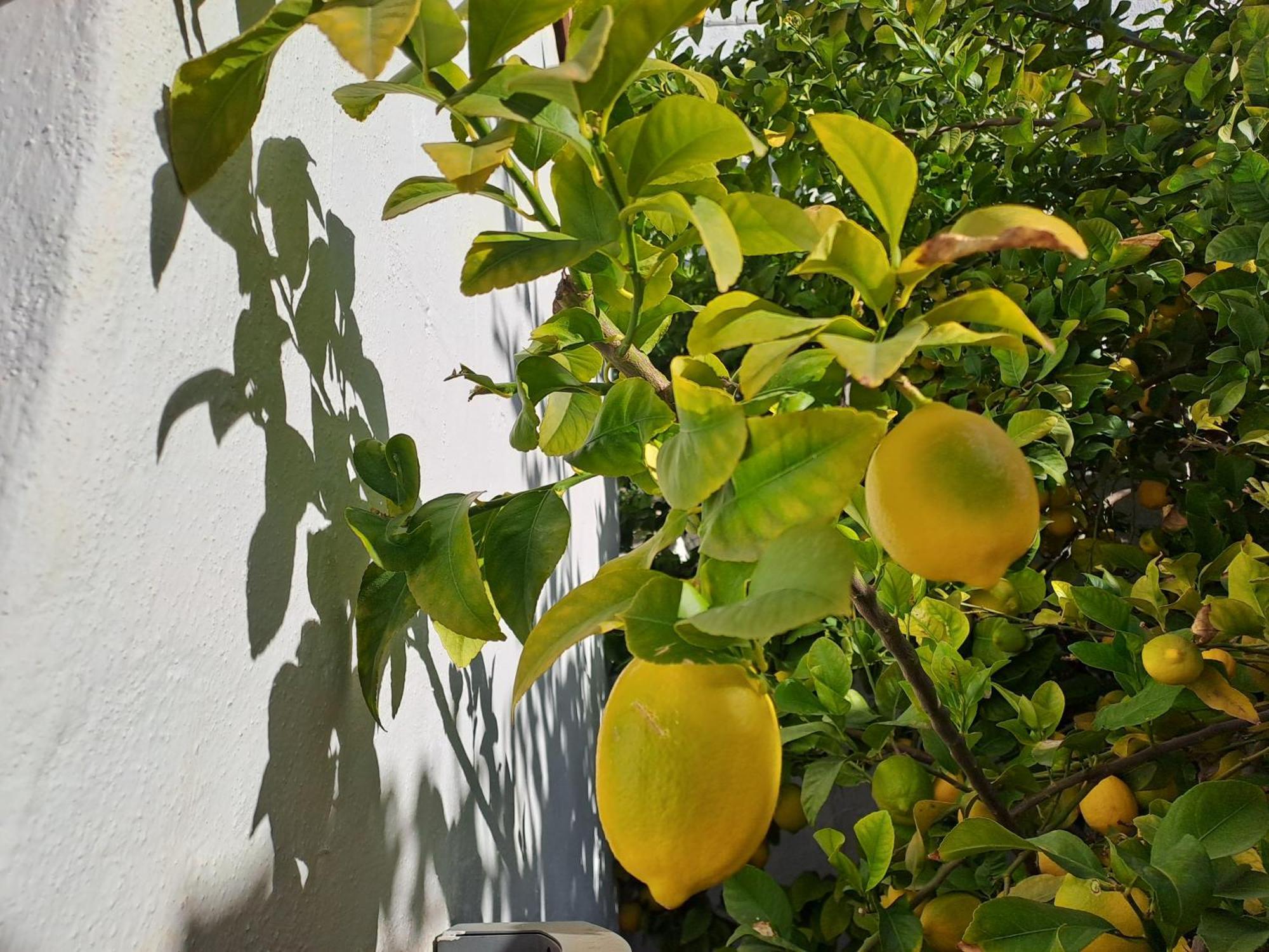 Appartamento Casa Alhambra - Centro Historico Con Jardin Privado Granada Esterno foto