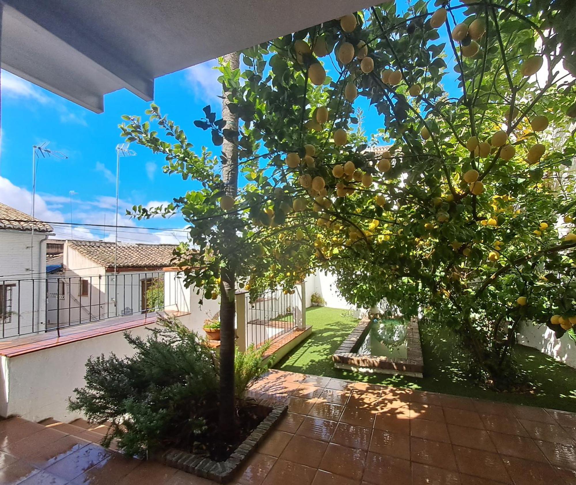 Appartamento Casa Alhambra - Centro Historico Con Jardin Privado Granada Esterno foto